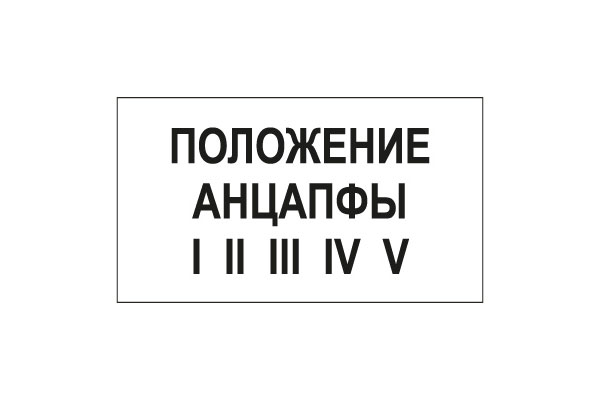 T105 Положение анцапфы (Пластик 140 х 250)