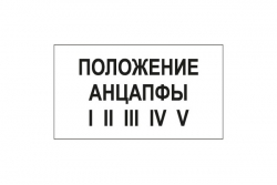 T105 Положение анцапфы (Пленка 140 х 250)
